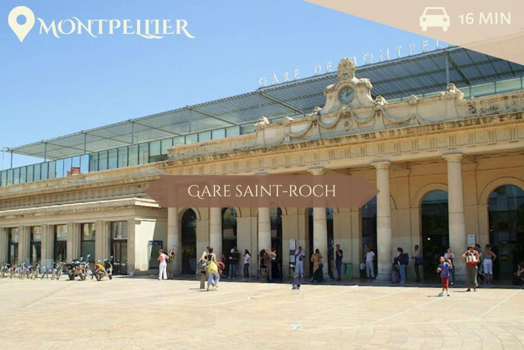 041 - Studio Le Chateau D'O, Appart 4Pers, Parking, Proche Faculte De Medecine Монпелие Екстериор снимка