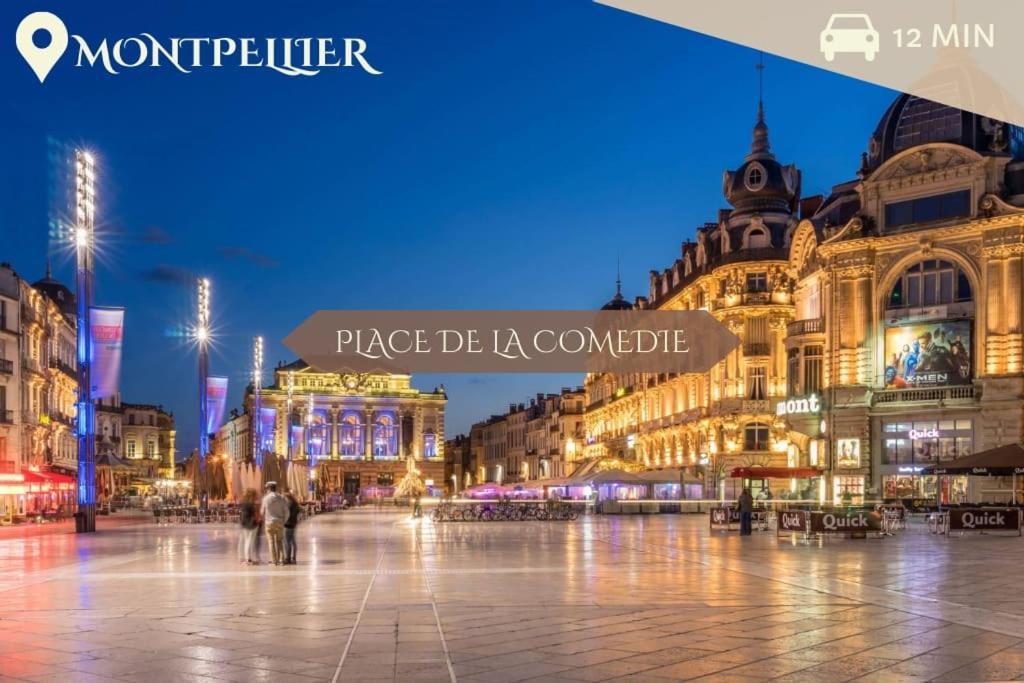 041 - Studio Le Chateau D'O, Appart 4Pers, Parking, Proche Faculte De Medecine Монпелие Екстериор снимка