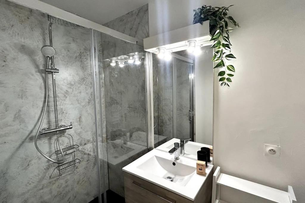 041 - Studio Le Chateau D'O, Appart 4Pers, Parking, Proche Faculte De Medecine Монпелие Екстериор снимка