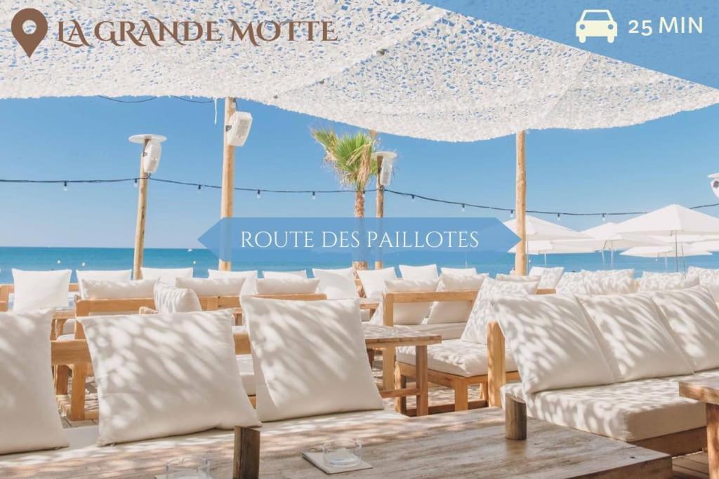 041 - Studio Le Chateau D'O, Appart 4Pers, Parking, Proche Faculte De Medecine Монпелие Екстериор снимка