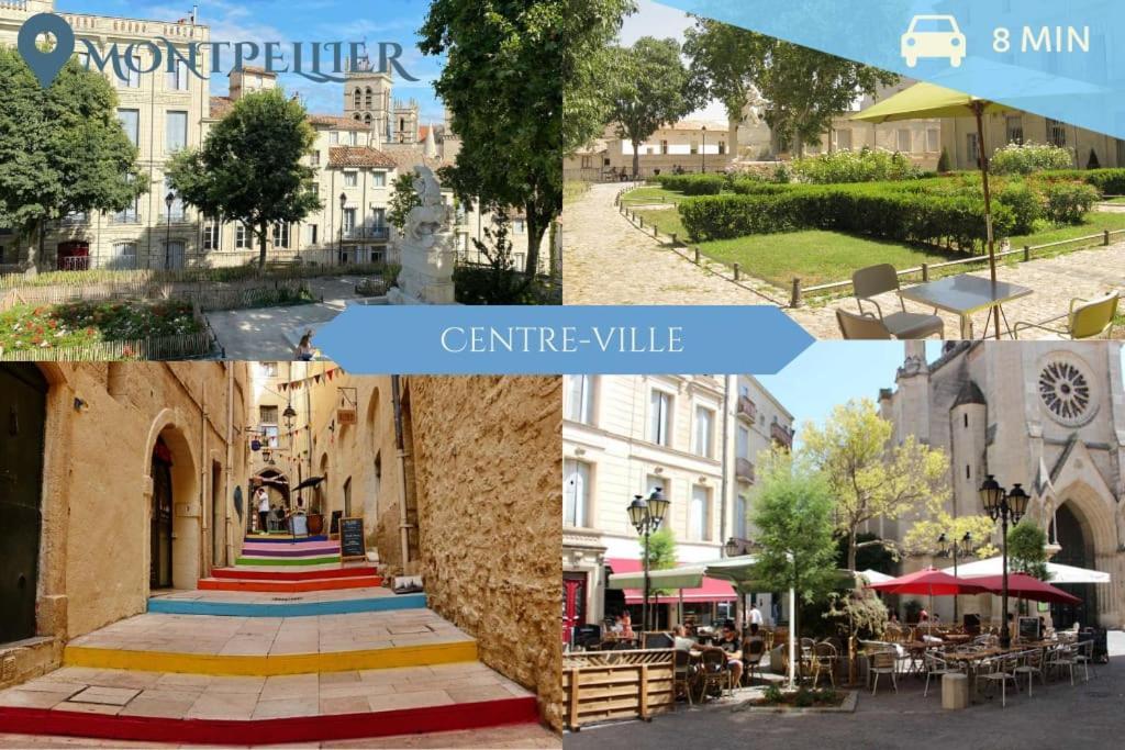 041 - Studio Le Chateau D'O, Appart 4Pers, Parking, Proche Faculte De Medecine Монпелие Екстериор снимка